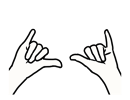 29063960