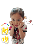 290650374