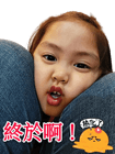 290650381