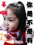 290650402
