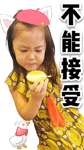290650403