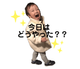 290655088
