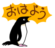 290670287