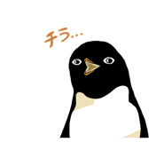 290670295