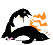 290670296