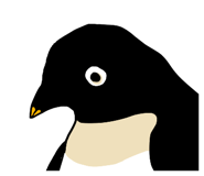 290670304