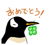 290670306