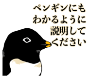 290670311