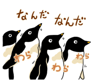 290670312