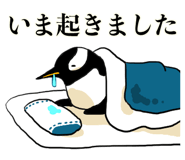 290670316