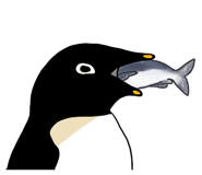 290670321
