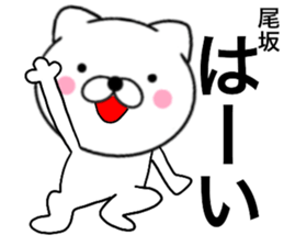29070094