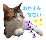 290805321