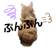 290805322