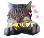 290805327