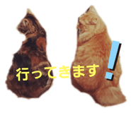 290805331