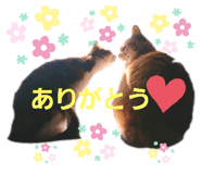 290805332