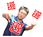 290805766