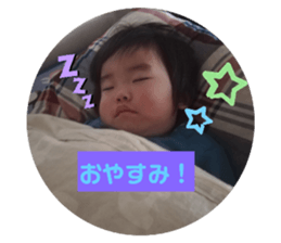 290806550
