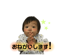 290810275