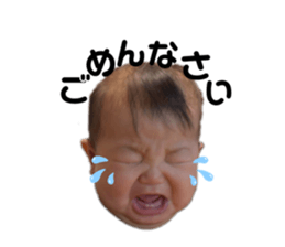 290810278