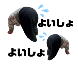 290812732