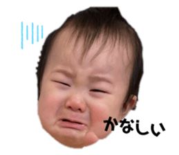 290815473