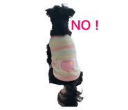 290820443