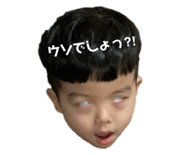 290840816