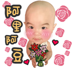 29085491