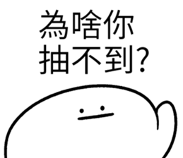 290855500
