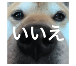 290856319
