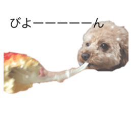 290876966