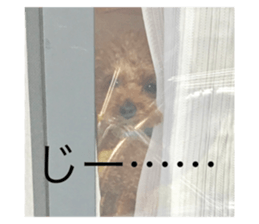 290876970