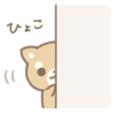 29088856