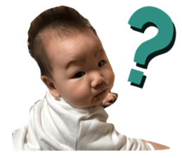 290940665