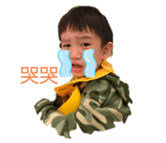 290975293