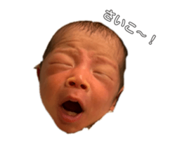 290980425