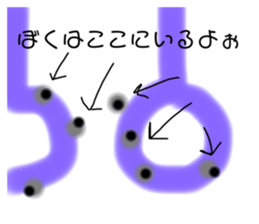 291056593
