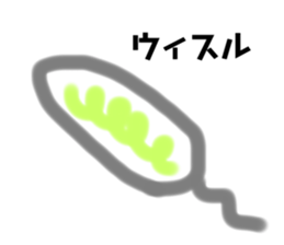 291056594