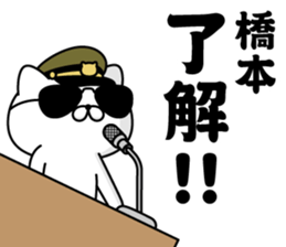 291077645