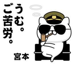 291077782