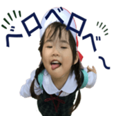 291081623
