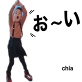 291081630