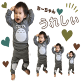 291081634