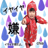 291081637