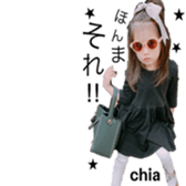 291081645
