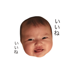 291089280