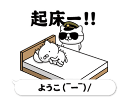 291095150