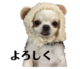 291117037